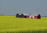 Canadian flag on a grainery